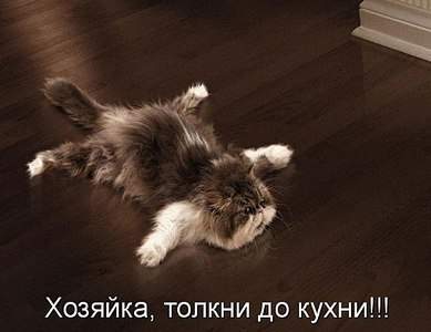 588 X 453 43.6 Kb Улыбнемся?