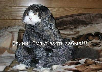 600 X 427 83.8 Kb 588 X 453 43.6 Kb Улыбнемся?