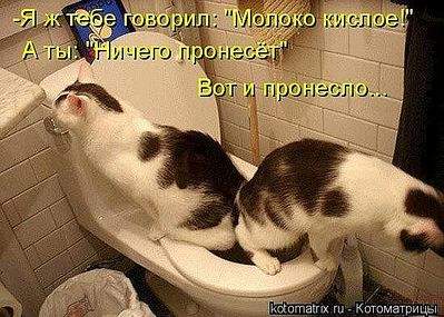 550 X 393 52.3 Kb 600 X 427 83.8 Kb 588 X 453 43.6 Kb Улыбнемся?