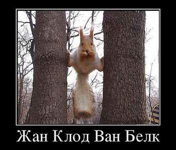 600 X 512 92.7 Kb 800 X 523 179.6 Kb 750 X 752 61.2 Kb Улыбнемся?