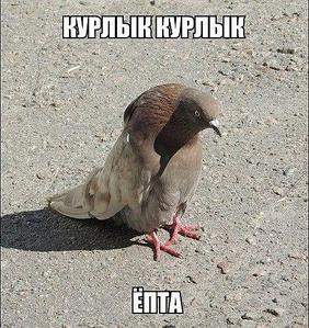 480 X 509 77.6 Kb 451 X 600 60.4 Kb 540 X 415 30.0 Kb Улыбнемся?