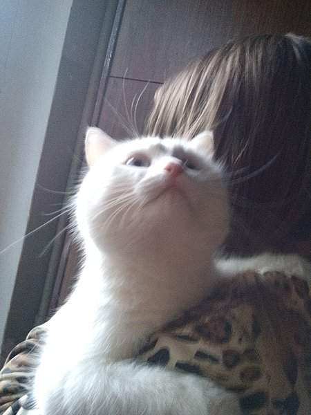 1944 X 2592 681.6 Kb    - .    .