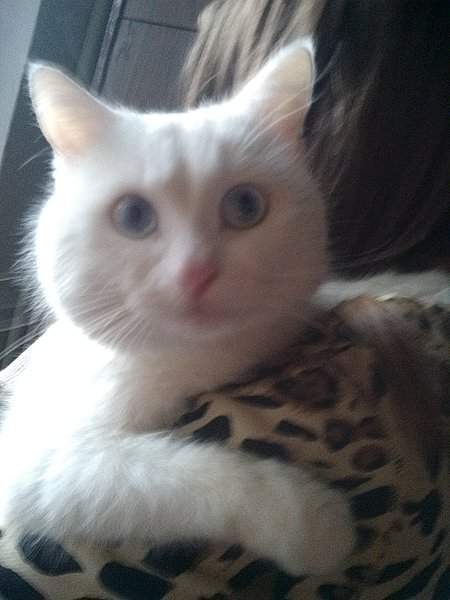 1944 X 2592 613.0 Kb 1944 X 2592 673.7 Kb 1944 X 2592 681.6 Kb    - .    .