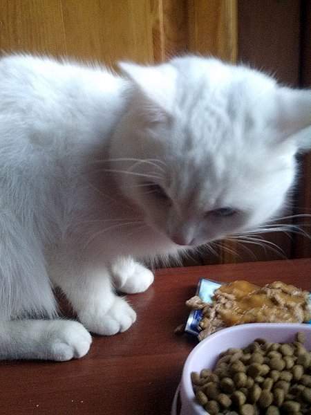 1944 X 2592 682.6 Kb    - .    .