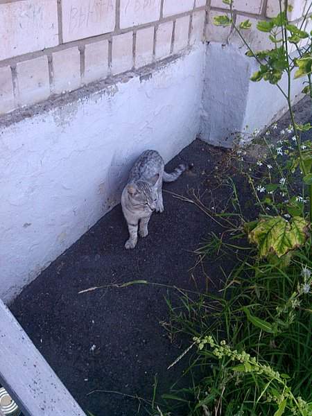 1944 X 2592 670.3 Kb    ' '.     ( ).