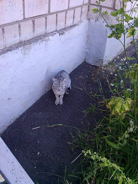 1944 X 2592 745.8 Kb 1944 X 2592 670.3 Kb    ' '.     ( ).