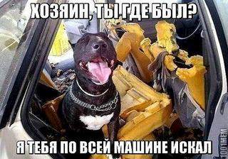590 X 413  69.2 Kb Улыбнемся?