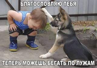 604 X 421  61.8 Kb Улыбнемся?