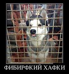 620 X 668  66.8 Kb Улыбнемся?