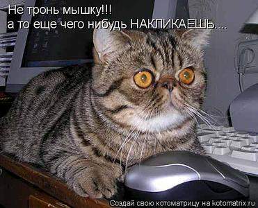 557 X 450  41.4 Kb Улыбнемся?