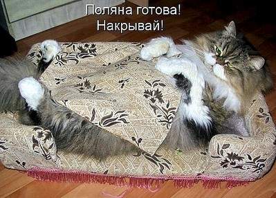 604 X 433  90.7 Kb Улыбнемся?