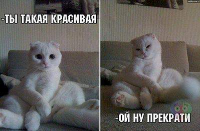 604 X 397  39.2 Kb Улыбнемся?