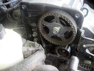 2000 X 1500 362.7 Kb       ?