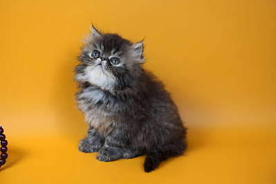 1920 X 1280 105.9 Kb 1920 X 1280 105.7 Kb 1920 X 1280 89.4 Kb    