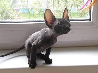 1920 X 1440 143.4 Kb   .