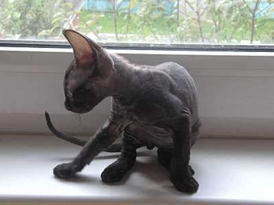 1920 X 1439 140.9 Kb 1920 X 1440 143.4 Kb   .