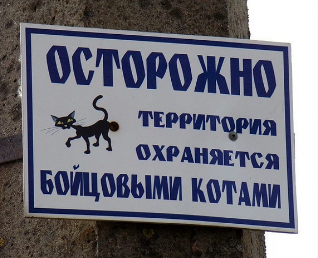 650 x 527 650 x 476 650 x 473 650 x 485 650 X 647 156.7 Kb Улыбнемся?