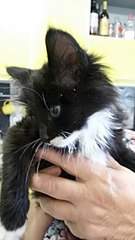 340 X 604 33.4 Kb     .