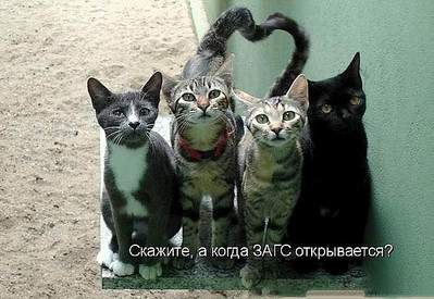 604 X 416  65.6 Kb Улыбнемся?