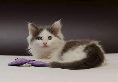 1920 X 1333 125.0 Kb 1920 X 1786 228.8 Kb   . ,     .