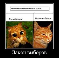 700 X 684 55.9 Kb Единая Россия и КОМОС подкупает избирателей коньяком (видео)