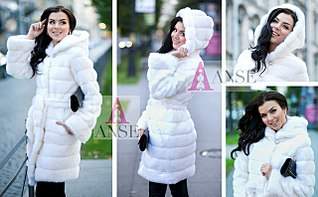 1280 X 789 183.5 Kb 1141 X 1024 164.7 Kb    