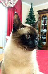 1920 X 2944 527.2 Kb  !      !