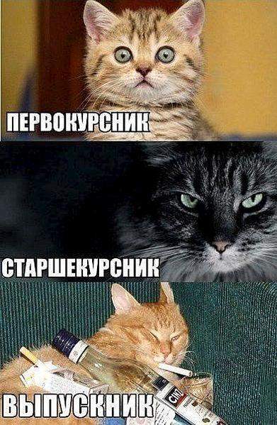 394 X 604  55.4 Kb Улыбнемся?