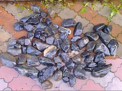 1920 X 1440 342.7 Kb    ()