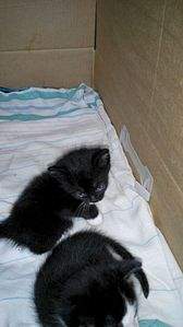 900 X 1600 109.7 Kb 900 X 1600 115.2 Kb       (  )