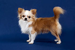 640 X 427 235.9 Kb  !