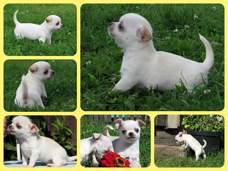 1024 X 768 280.4 Kb 1024 X 768 372.0 Kb 1024 X 768 336.4 Kb  !