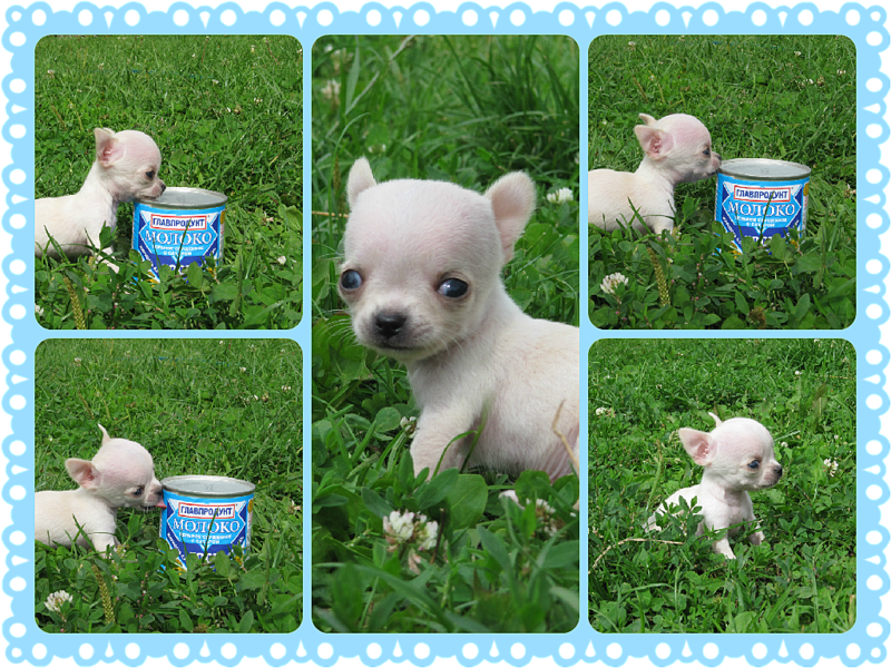 1024 X 768 1.8 Mb 1024 X 768 280.4 Kb 1024 X 768 372.0 Kb 1024 X 768 336.4 Kb  !