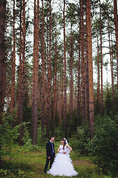 800 X 1200 242.6 Kb 1200 X 800 610.5 Kb Yurkophoto -   