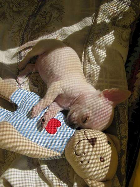 720 X 960  76.5 Kb  !