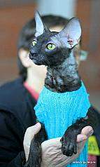 299 X 500 29.7 Kb   .