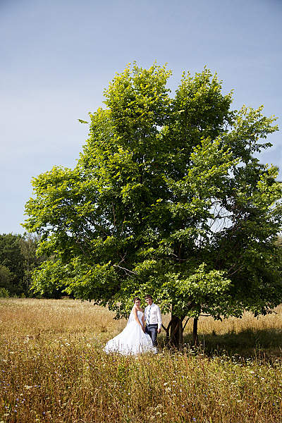 800 X 1200 246.6 Kb 1200 X 800 679.6 Kb Yurkophoto -   