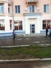 1195 X 1600 140.8 Kb ,     