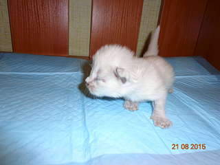 1920 X 1440 156.5 Kb    .