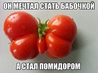 700 X 524  45.3 Kb Улыбнемся?