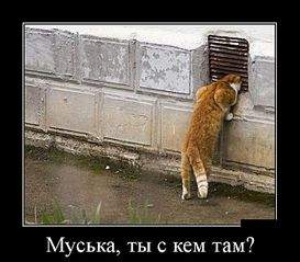 700 X 614  74.0 Kb 700 X 524  45.3 Kb Улыбнемся?