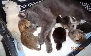 1920 X 1191 202.3 Kb 1920 X 1766 305.8 Kb 2011 X 1944 279.8 Kb 1848 X 1087 953.1 Kb 1994 X 1332 174.3 Kb    .