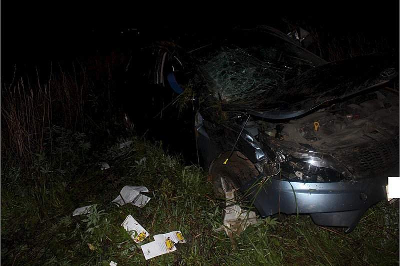 1600 X 1066 202.7 Kb 02.09.2015     - ,      .