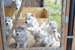 1920 X 1280 304.0 Kb  - .