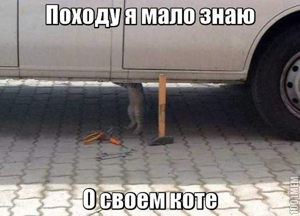 590 x 425 Улыбнемся?