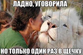 600 X 402  45.7 Kb Улыбнемся?