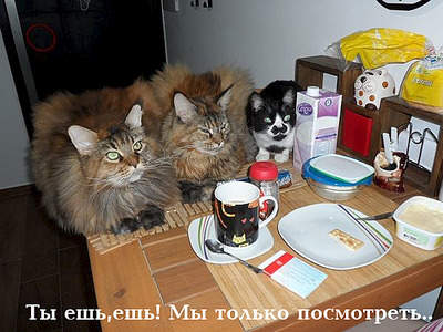 600 X 450 185.1 Kb Улыбнемся?