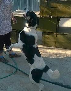 1115 X 1440 343.1 Kb 1694 X 1284 417.6 Kb      .  