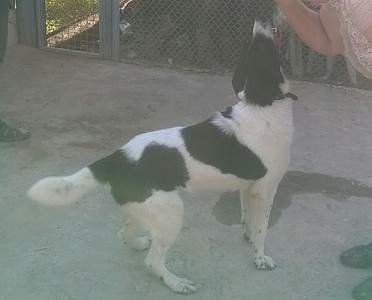 1322 X 1066 245.6 Kb 1115 X 1440 343.1 Kb 1694 X 1284 417.6 Kb      .  