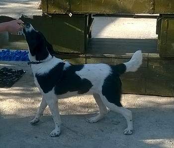 1052 X 900 252.9 Kb 1322 X 1066 245.6 Kb 1115 X 1440 343.1 Kb 1694 X 1284 417.6 Kb      .  